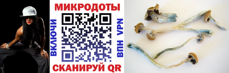 Псилоцибиновые грибы Cubensis  Вельск 